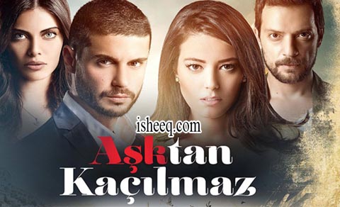 مسلسل لا مفر من الحب الحلقة 11 الاخيرة