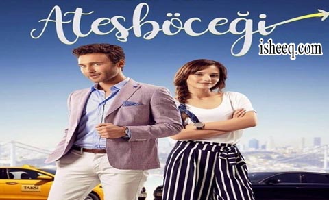 مسلسل سراج الليل الحلقة 12 الاخيرة
