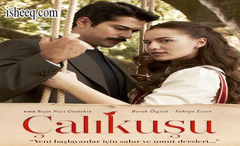 مسلسل طائر النمنمة الحلقة 1