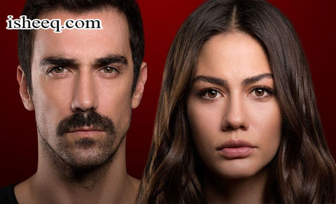 مسلسل منزلي الحلقة 9