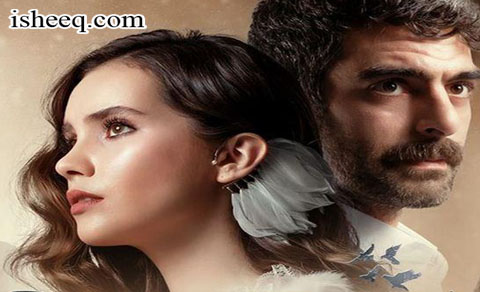 مسلسل الحمامة الحلقة 16 الاخيرة