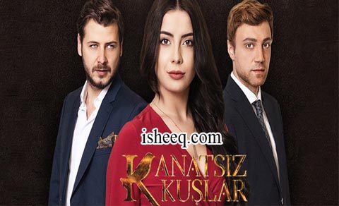 مسلسل طيور بلا اجنحة الحلقة 46 الاخيرة