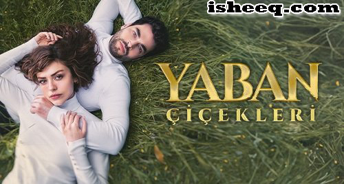 مسلسل الازهار البرية الحلقة 3 والاخيرة