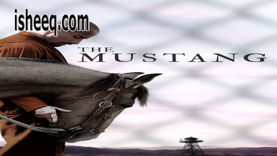 فيلم The Mustang مترجم | الحصان البري